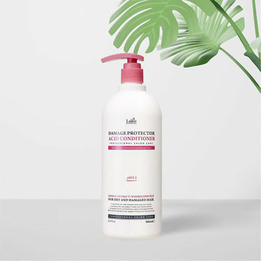 https://cdn.shopify.com/s/files/1/1857/6931/files/J1GnCUZ7qS.jpg?v=1731656355